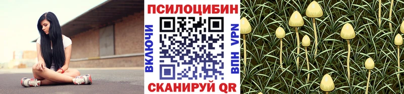 Псилоцибиновые грибы Cubensis  Купить где  Ахтубинск 